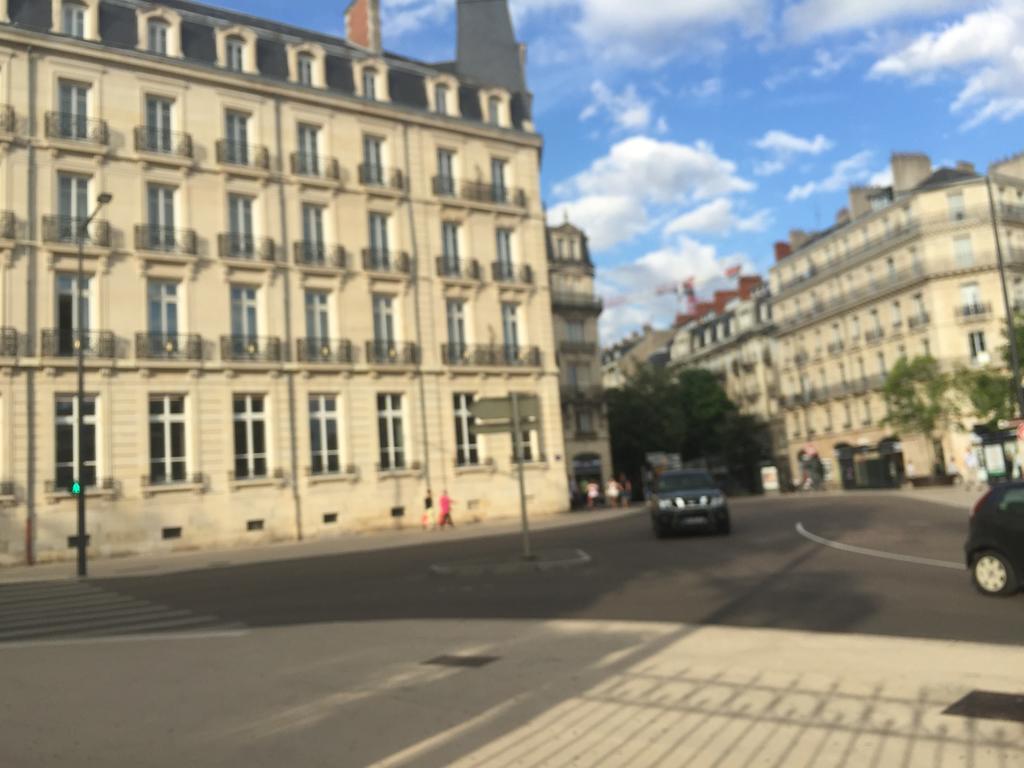 Ideal Art Deco Compris Un Parking Prive Securise Darcy Liberte Centre Gare-Ville Dijon Exteriör bild